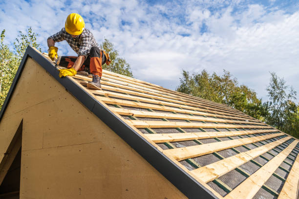 Best Gutter Installation and Roofing  in Apex, NC